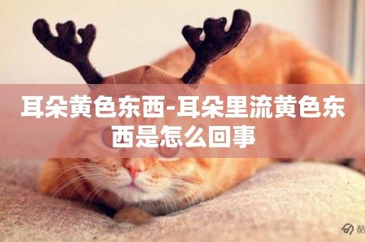 耳朵黃色東西-耳朵里流黃色東西是怎么回事