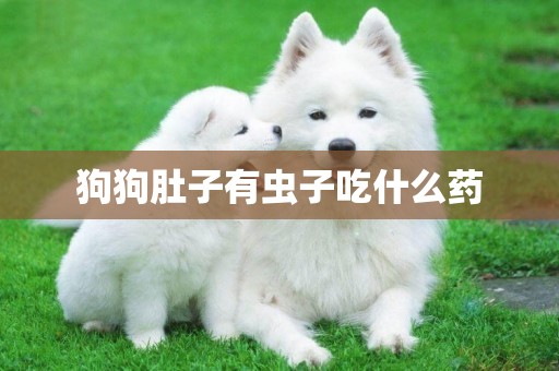 狗狗肚子有蟲子吃什么藥
