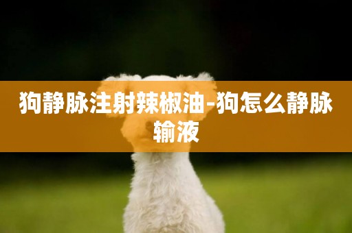 狗靜脈注射辣椒油-狗怎么靜脈輸液