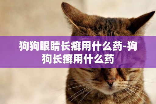 狗狗眼睛長癬用什么藥-狗狗長癬用什么藥