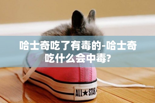 哈士奇吃了有毒的-哈士奇吃什么會中毒?