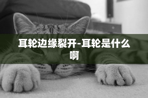耳輪邊緣裂開-耳輪是什么啊
