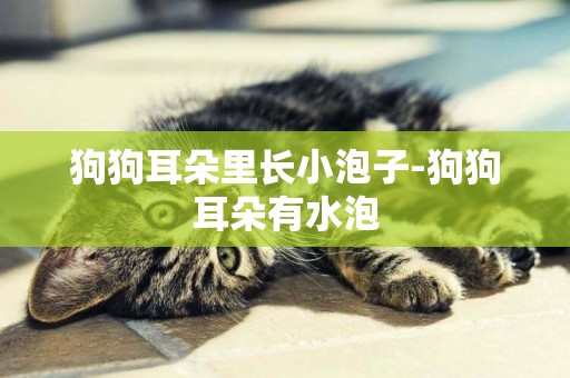 狗狗耳朵里長小泡子-狗狗耳朵有水泡