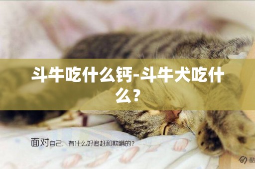 斗牛吃什么鈣-斗牛犬吃什么？