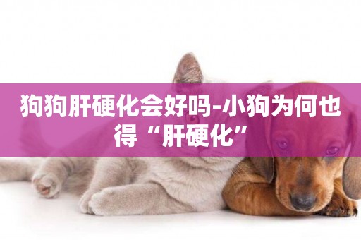 狗狗肝硬化會好嗎-小狗為何也得“肝硬化”
