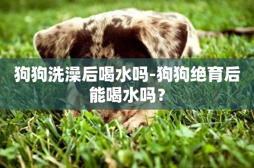 狗狗洗澡后喝水嗎-狗狗絕育后能喝水嗎？