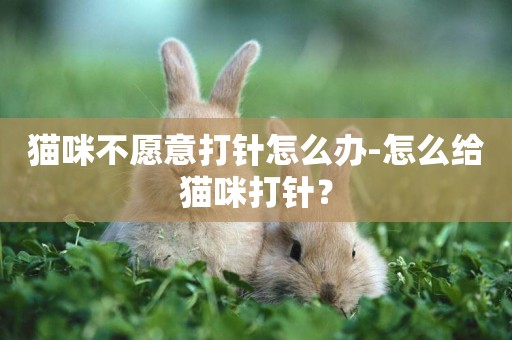 貓咪不愿意打針怎么辦-怎么給貓咪打針？