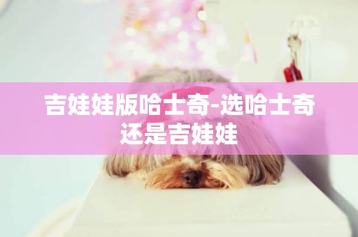 吉娃娃版哈士奇-選哈士奇還是吉娃娃