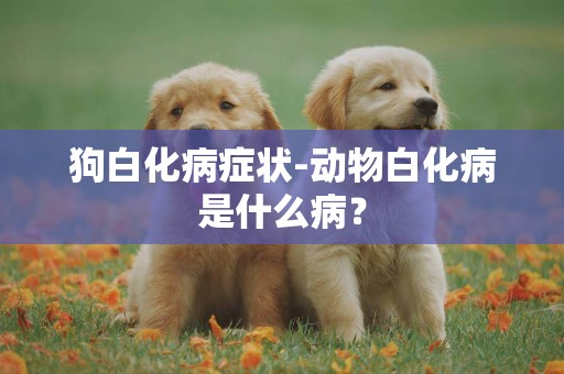 狗白化病癥狀-動物白化病是什么病？
