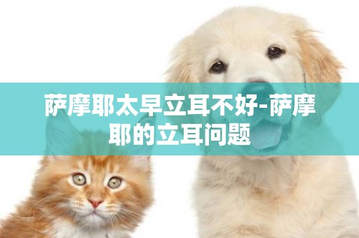 薩摩耶太早立耳不好-薩摩耶的立耳問題
