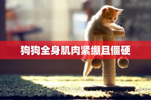 狗狗全身肌肉緊繃且僵硬