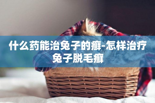 什么藥能治兔子的癬-怎樣治療兔子脫毛癬
