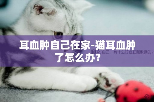 耳血腫自己在家-貓耳血腫了怎么辦？