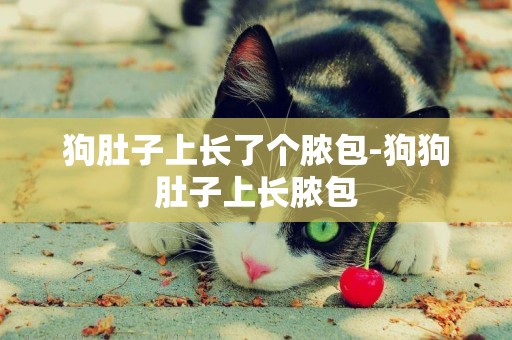 狗肚子上長了個膿包-狗狗肚子上長膿包