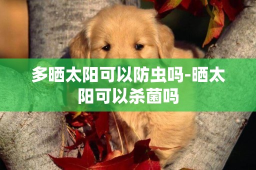 多曬太陽可以防蟲嗎-曬太陽可以殺菌嗎