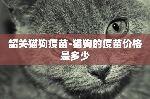 韶關貓狗疫苗-貓狗的疫苗價格是多少