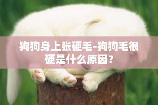 狗狗身上張硬毛-狗狗毛很硬是什么原因？