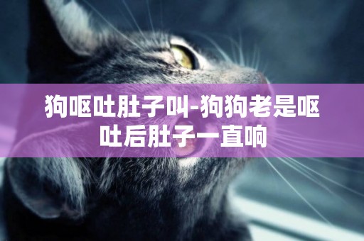 狗嘔吐肚子叫-狗狗老是嘔吐后肚子一直響