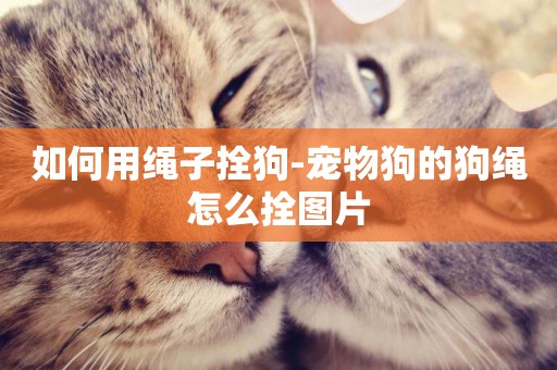 如何用繩子拴狗-寵物狗的狗繩怎么拴圖片