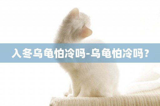 入冬烏龜怕冷嗎-烏龜怕冷嗎？