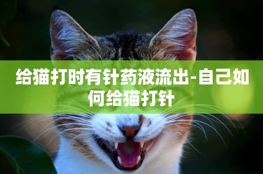 給貓打時有針藥液流出-自己如何給貓打針