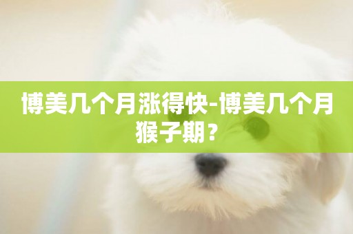 博美幾個月漲得快-博美幾個月猴子期？