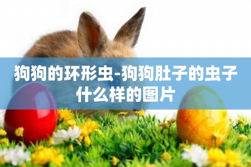 狗狗的環形蟲-狗狗肚子的蟲子什么樣的圖片