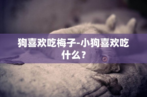 狗喜歡吃梅子-小狗喜歡吃什么？