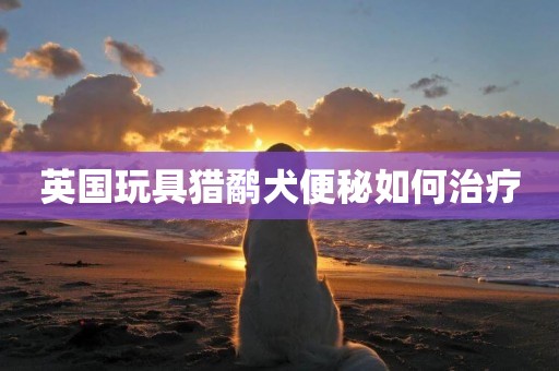 英國玩具獵鷸犬便秘如何治療
