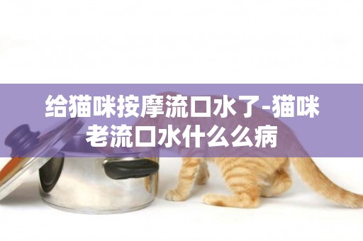 給貓咪按摩流口水了-貓咪老流口水什么么病