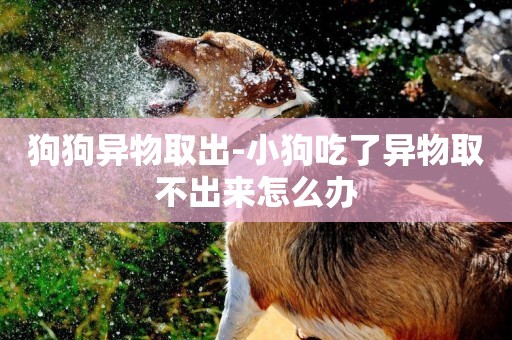 狗狗異物取出-小狗吃了異物取不出來怎么辦