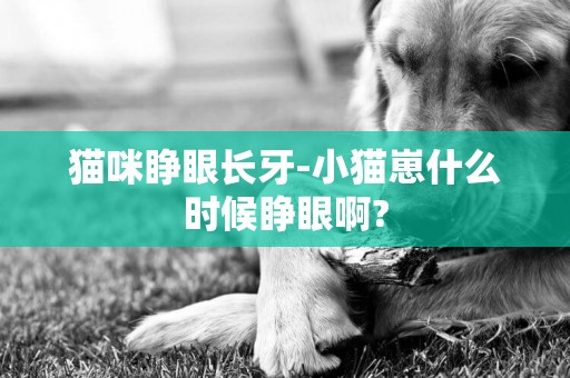 貓咪睜眼長牙-小貓崽什么時候睜眼啊?