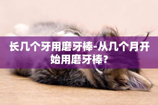 長幾個牙用磨牙棒-從幾個月開始用磨牙棒？