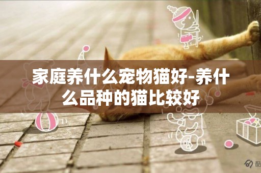 家庭養什么寵物貓好-養什么品種的貓比較好