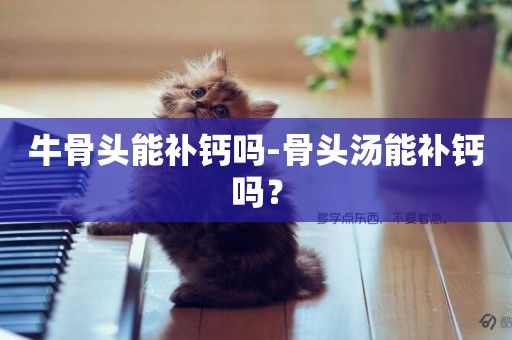牛骨頭能補鈣嗎-骨頭湯能補鈣嗎？
