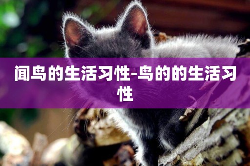 聞鳥的生活習性-鳥的的生活習性