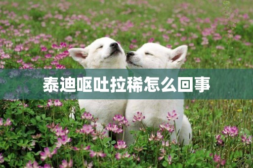 泰迪嘔吐拉稀怎么回事