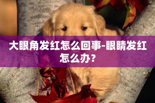 大眼角發紅怎么回事-眼睛發紅怎么辦？