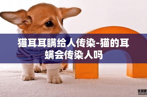 貓耳耳瞞給人傳染-貓的耳螨會傳染人嗎