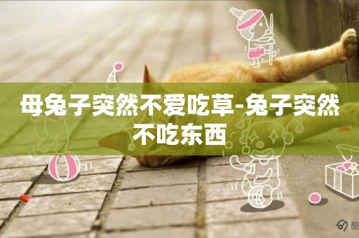 母兔子突然不愛吃草-兔子突然不吃東西