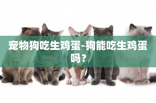 寵物狗吃生雞蛋-狗能吃生雞蛋嗎？