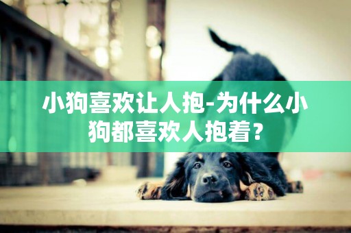 小狗喜歡讓人抱-為什么小狗都喜歡人抱著？
