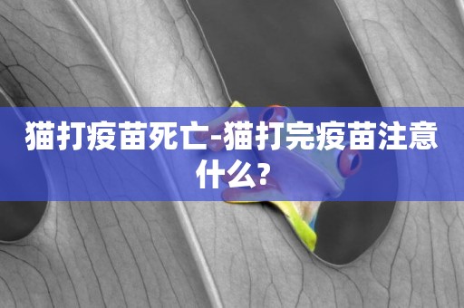 貓打疫苗死亡-貓打完疫苗注意什么?