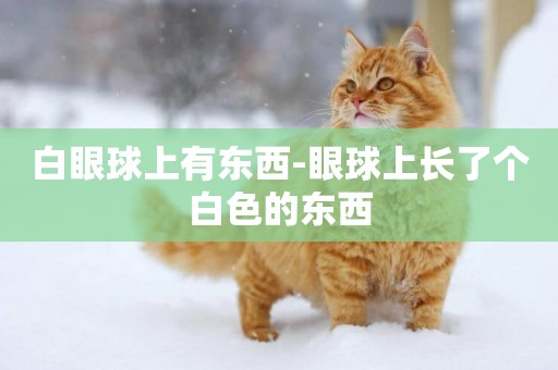 白眼球上有東西-眼球上長了個白色的東西