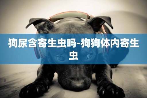 狗尿含寄生蟲嗎-狗狗體內寄生蟲