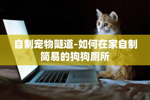自制寵物隧道-如何在家自制簡易的狗狗廁所