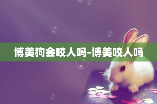 博美狗會咬人嗎-博美咬人嗎