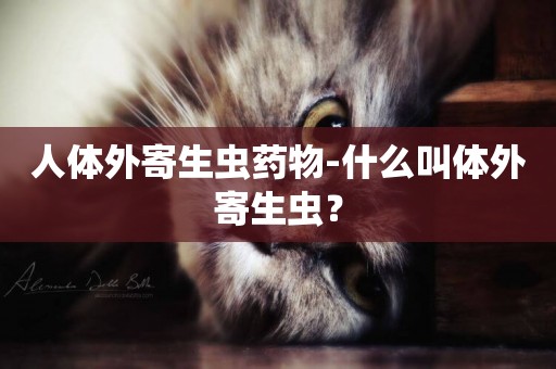 人體外寄生蟲藥物-什么叫體外寄生蟲？