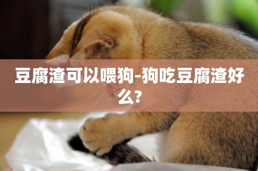 豆腐渣可以喂狗-狗吃豆腐渣好么?
