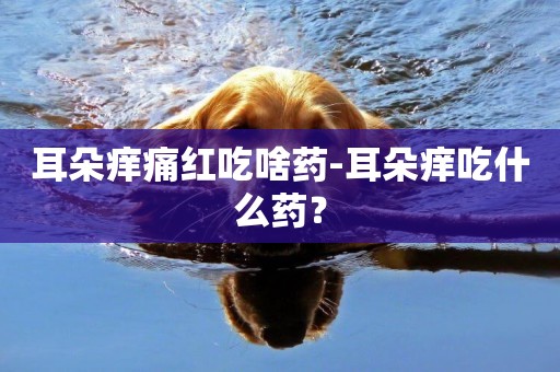 耳朵癢痛紅吃啥藥-耳朵癢吃什么藥？